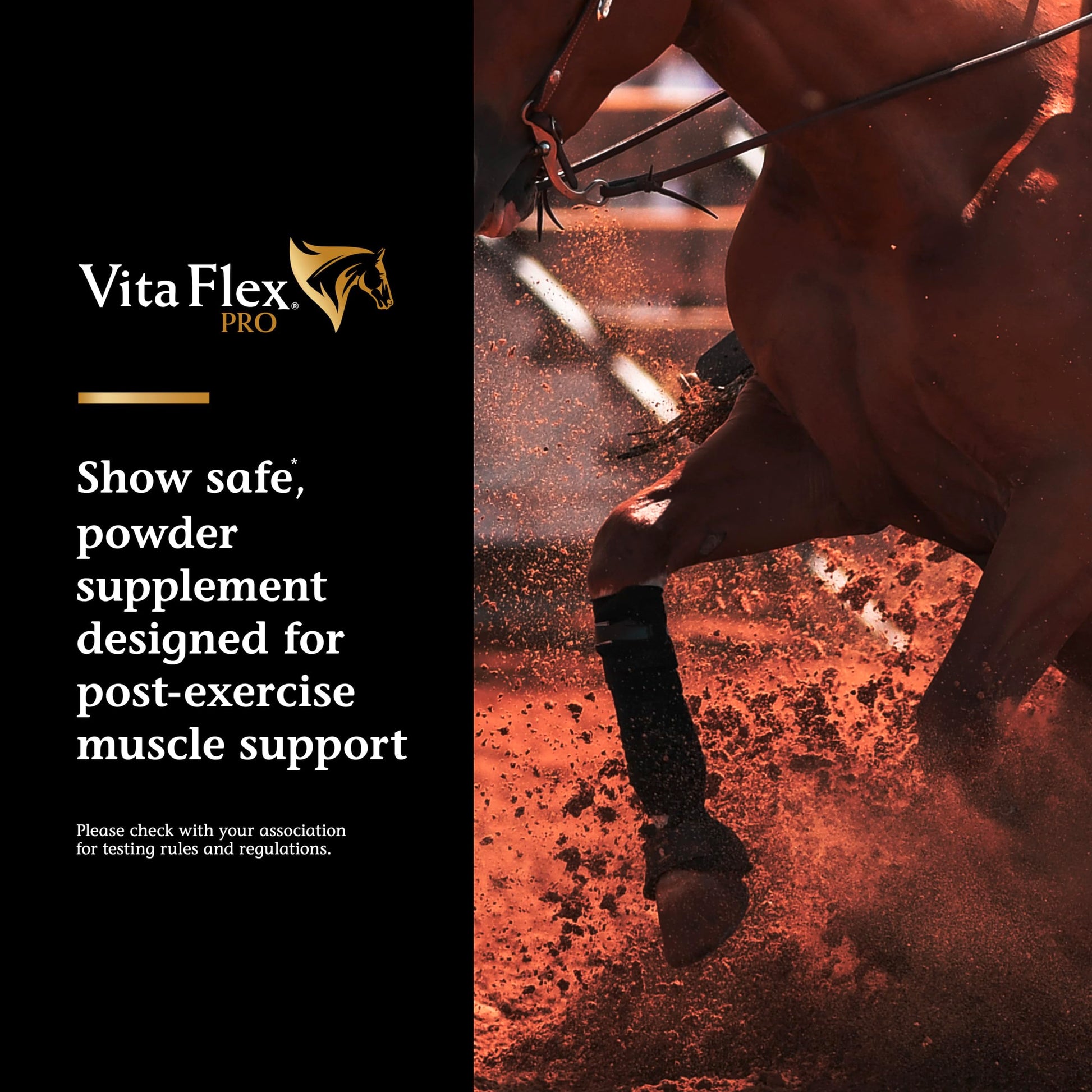 Vita Flex Pro Recovery by the Makers of Lactanase, Post Performance Horse Supplements 40 g, Show Safe Muscle Recovery Supplements, Amino Acids for Horses, Strength & Joint Health Vita FlexBuy Supplements Australia