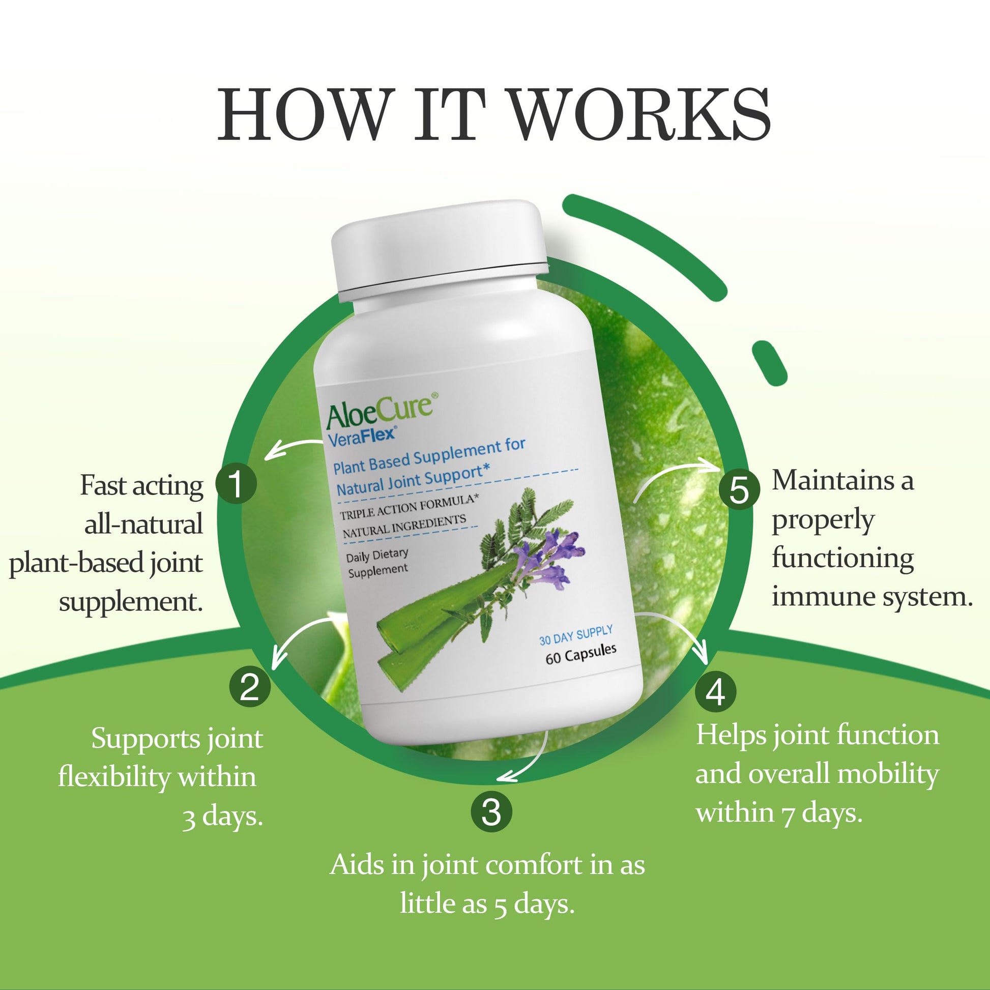 AloeCure VeraFlex Natural Joint Health, 60 Capsules, Clinically Tested Natural Plant-Based Formula to Support Comfort, Mobility and Flexibility - Featuring Organic Aloe Vera AloeCureBuy Supplements Australia