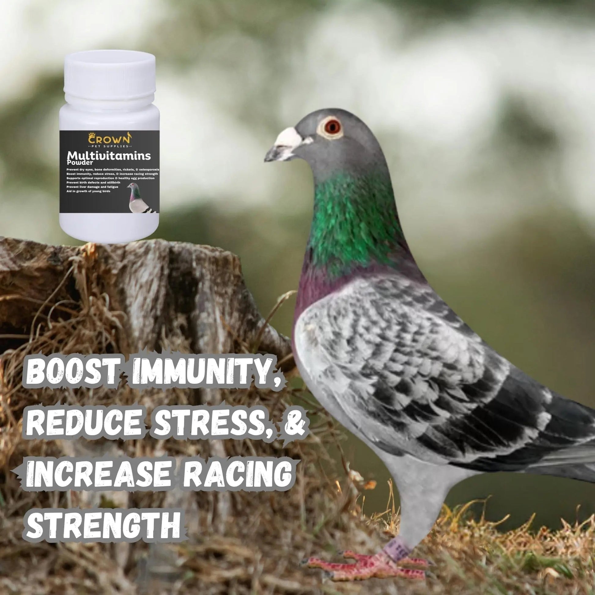Multivitamin Powder for Pigeons – Ultimate Vitamin Formula for Racing & Breeding – Supports Growth, Bone Strength, Reproductive Health & Feather Health Crown Pet Supplies
