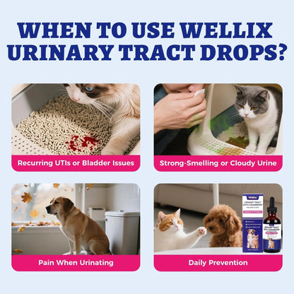 4oz Wellix Natural Cat & Dog UTI Treatment Drops,Cat & Dog Urinary Tract Infection Treatment - Cranberry & D-Mannose for Dogs & Cats - Kidney Health Supplement WellixBuy Supplements Australia