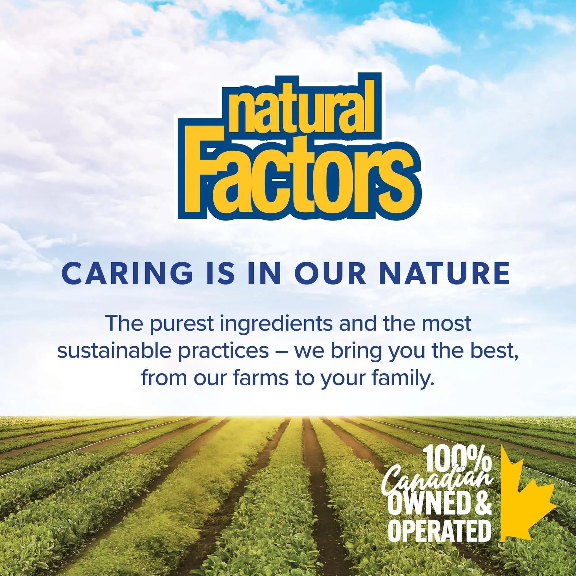 Natural Factors B12 Methylcobalamin, 10,000 mcg, Cherry, 30 Chewable Tablets Natural FactorsBuy Supplements Australia