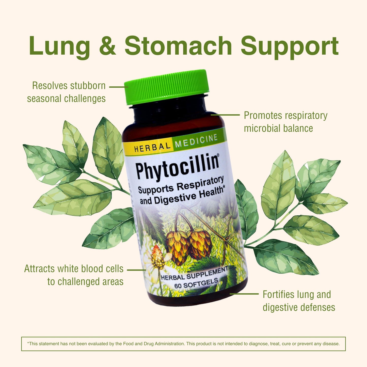 Herbs Etc. Phytocillin - Respiratory & Digestive Health Support Supplement - Herbal Formula to Support Digestion - Support Healthy Breathing - 60 Softgels (60 Servings) Herbs Etc.Buy Supplements Australia