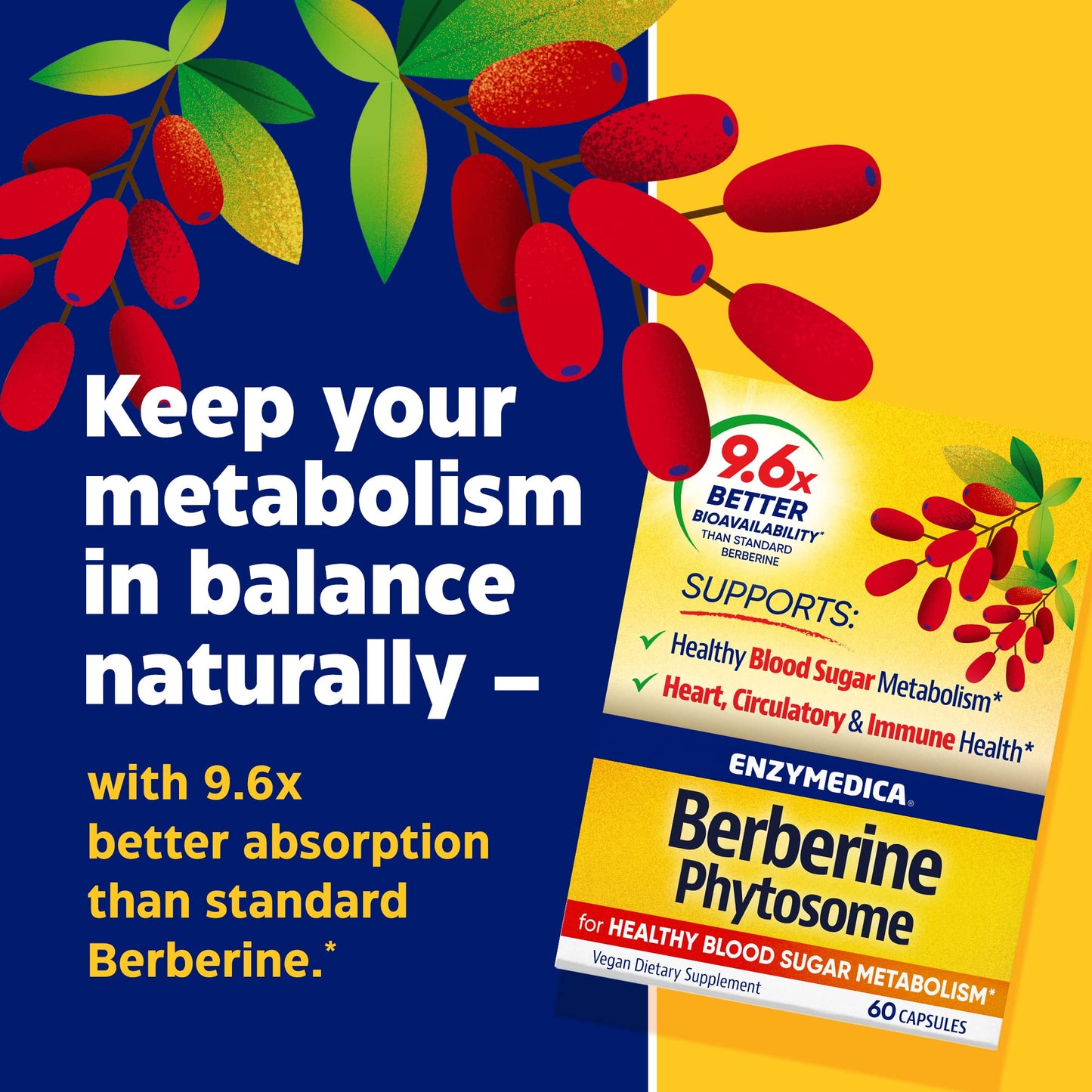 Enzymedica, Berberine Phytosome EnzymedicaBuy Supplements Australia