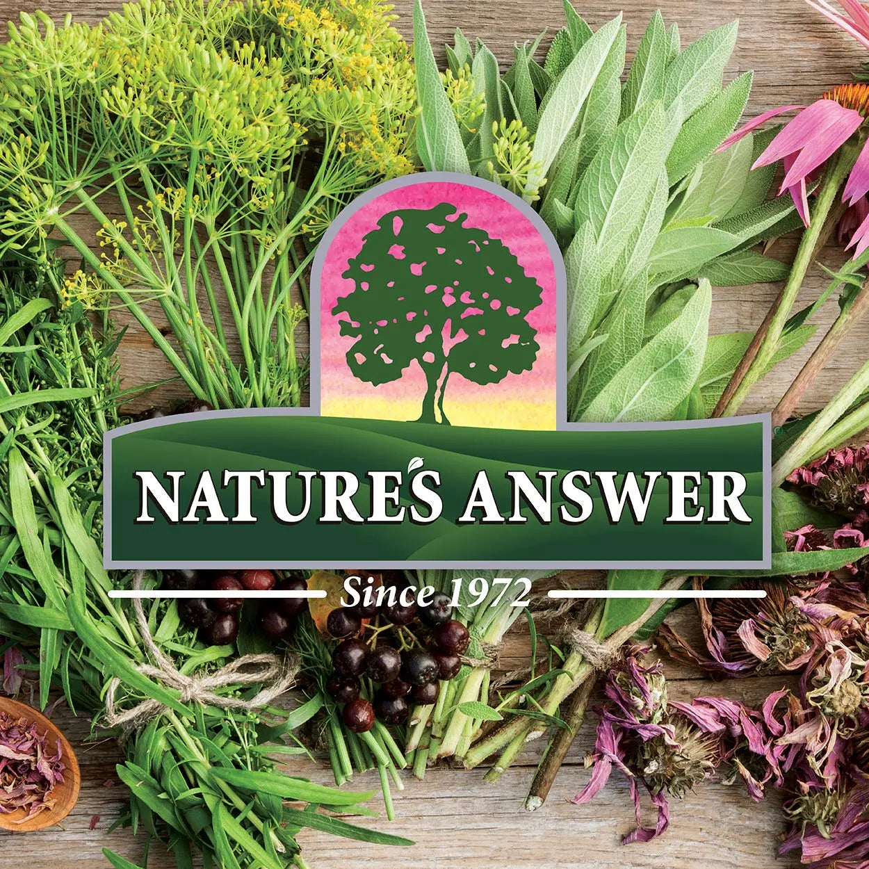 Nature's Answer Women's 100, Multivitamin, 60 Vegetarian Capsules Nature's Answer