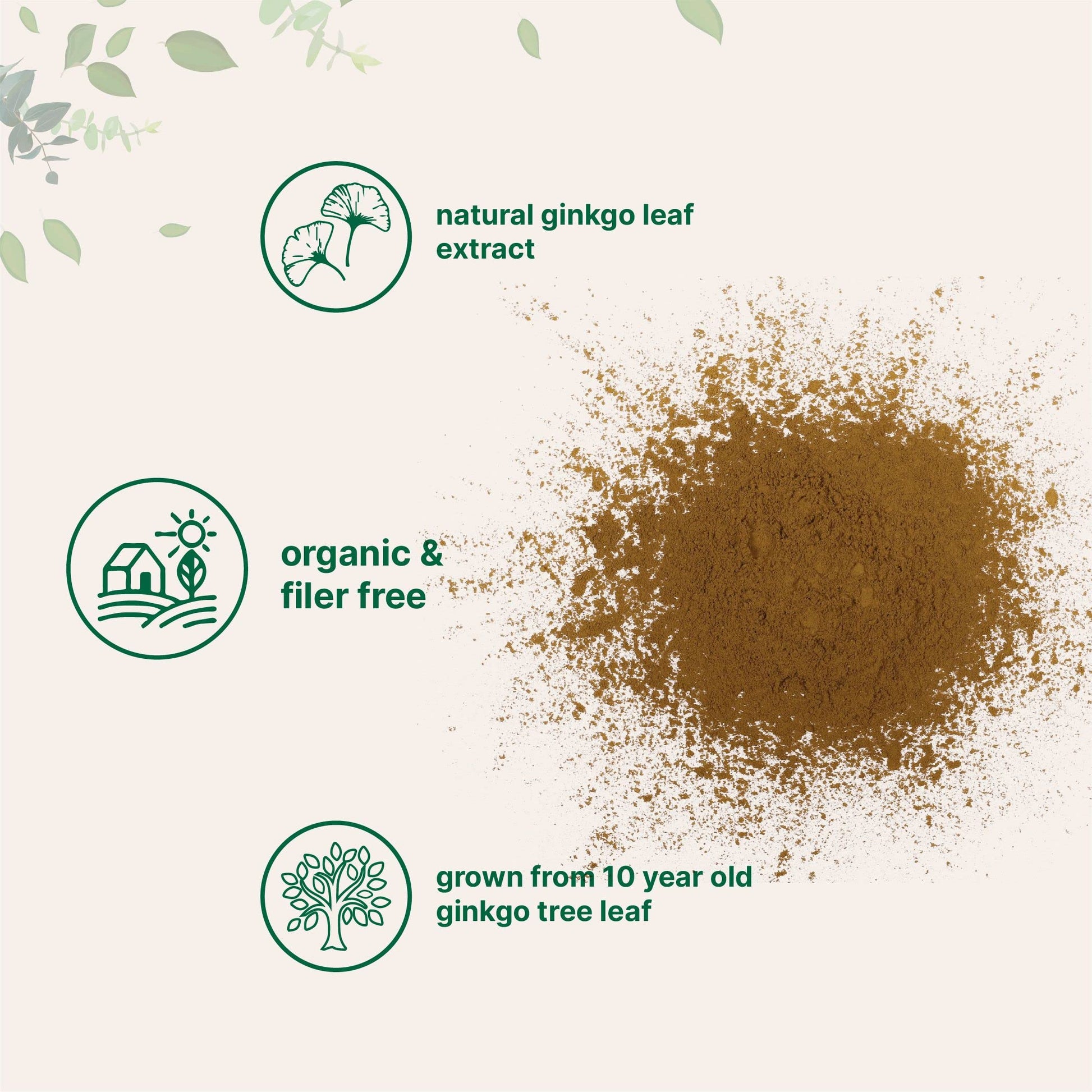 Micro Ingredients Raw Organic Ginkgo Biloba Powder, 8 Ounce (18 Months Supply) Micro IngredientsBuy Supplements Australia