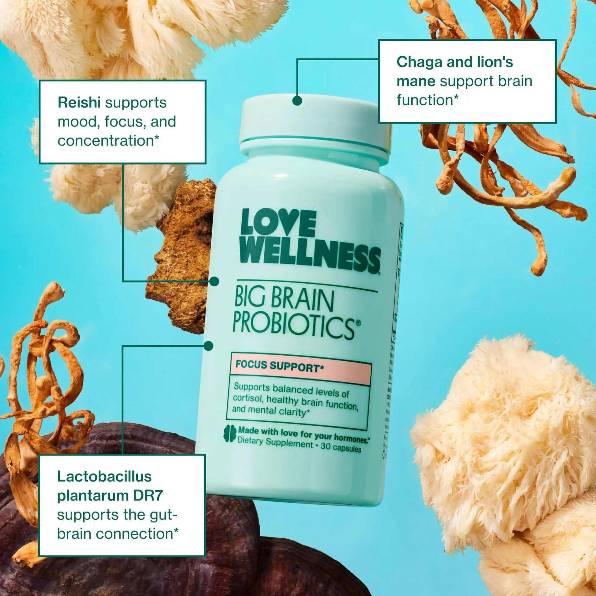 Love Wellness Daily Love Multivitamin & Big Brain Probiotics | Mind and Body Duo | Womens Vitamin and Probitoic Love Wellness