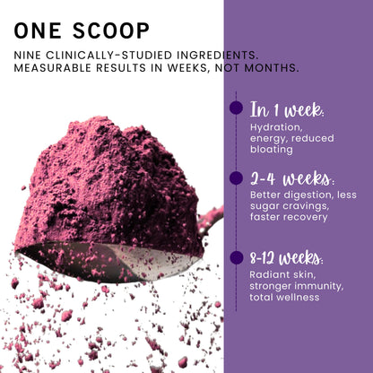 Leverage Mixed Berries Anti–Aging Supplement & Longevity Mix - Daily Wellness Multivitamin Powder with Hyaluronic Acid, L-Glycine & Magnesium for Skin, Energy, Cognitive Function & Joint–30 Servings LeverageBuy Supplements Australia