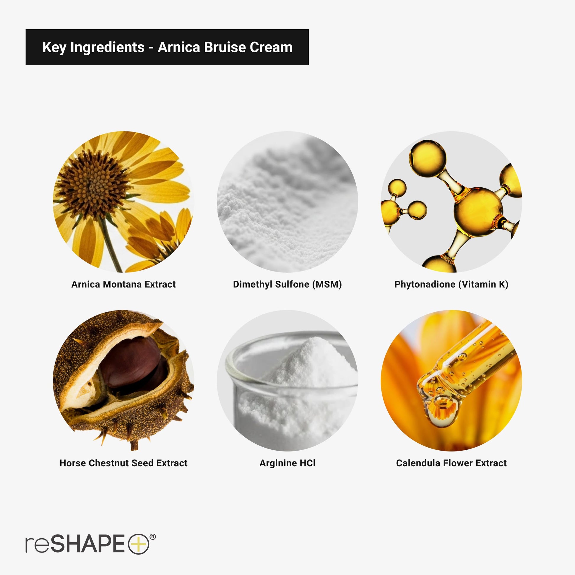 Reshape+ Arnica Bruise Relief Topical Cream For Bruising, Swelling, & Discoloration On Skin, Natural Skin Care Homeopathic Arnica Lotion W/Vitamin K, Horse Chestnut, & Collagen, Large 8 Fl Oz Reshape+Buy Supplements Australia