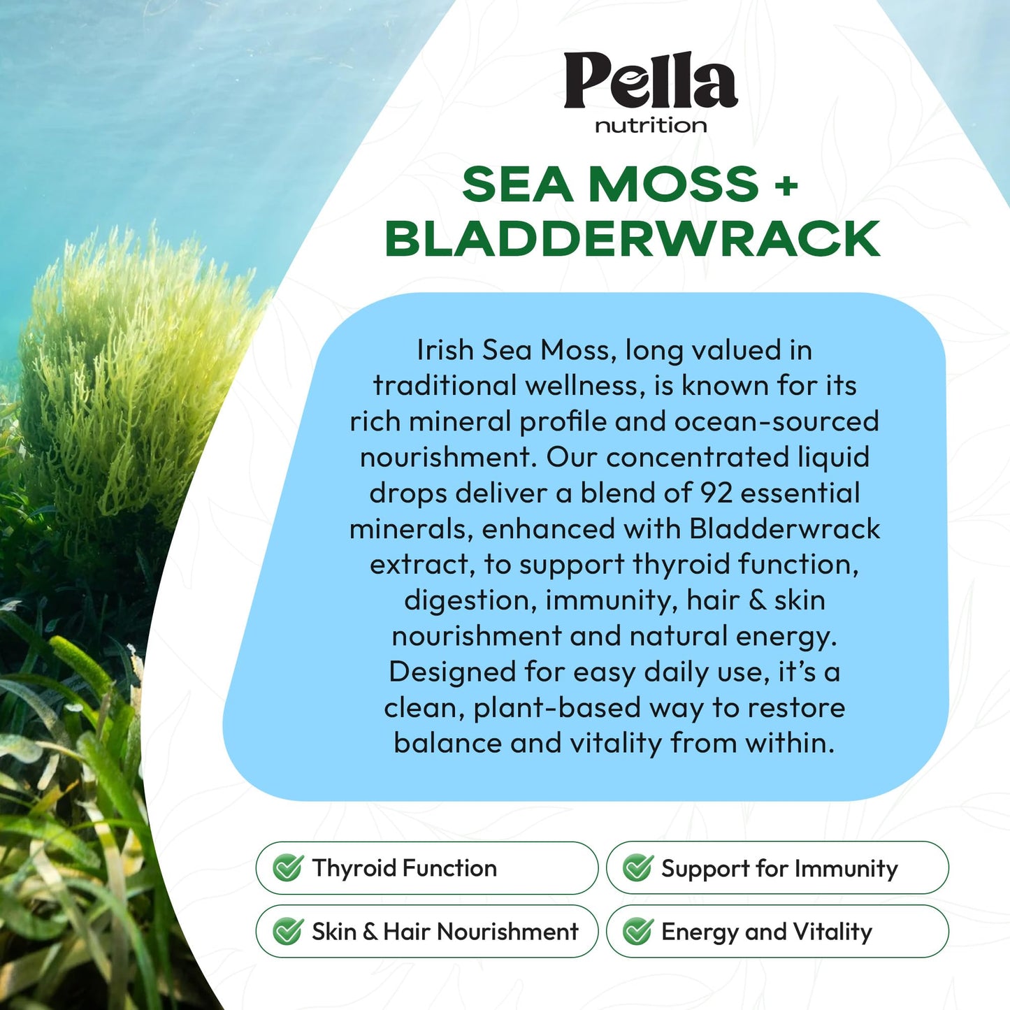 Pella Nutrition Sea Moss Drops with Bladderwrack – 4X Faster Absorption Than Irish Sea Moss Gel Superfood, Gummies, and Capsules – Digestive & Immune Support Supplement (Strawberry Lime, 60mL) Pella NutritionBuy Supplements Australia