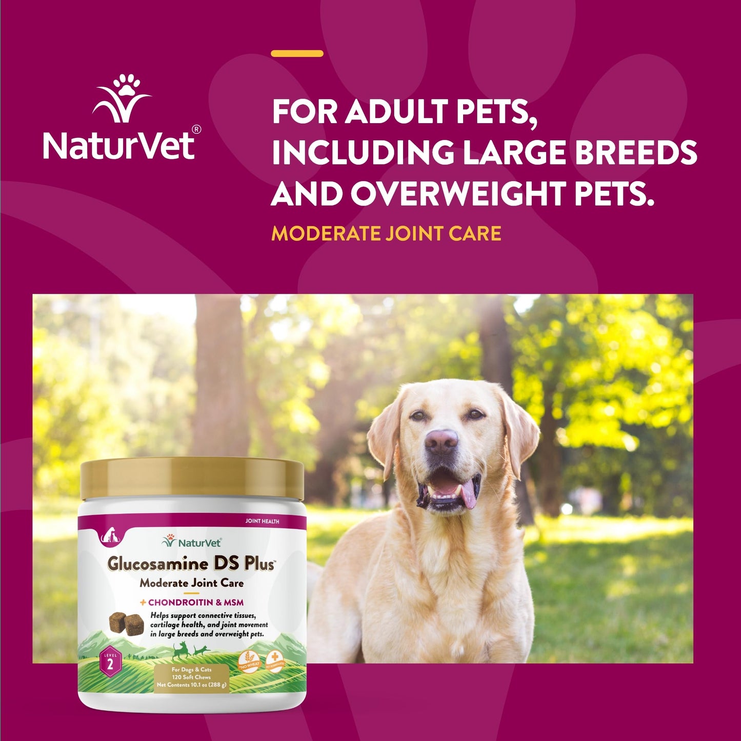 NaturVet – Glucosamine DS Plus - Level 2 Moderate Care – Supports Healthy Hip & Joint Function – Enhanced with Glucosamine, MSM & Chondroitin – for Dogs & Cats–120 Soft Chews NaturVetBuy Supplements Australia