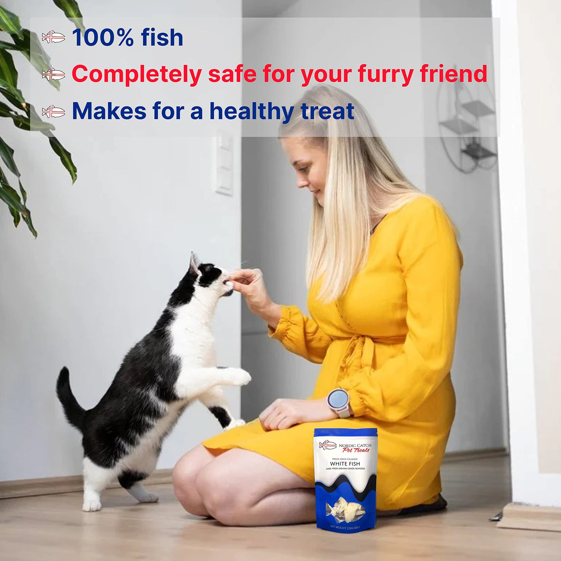 Nordic Catch Freeze Dried Fish Pet Treats from Iceland - Pure, All Natural Seafood Snacks for Dogs, Cats and Other Pets - Human Safe Ingredients, Made from Sashimi Grade Seafood - White Fish Nordic CatchBuy Supplements Australia
