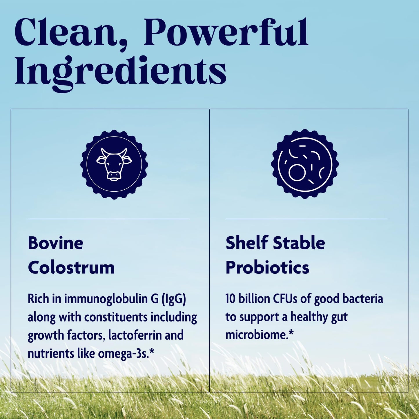 Enzymedica Colostrum + Probiotics Powder Supplement - Grass Fed Bovine Colostrum for Women & Men, Peptide & Lactoferrin Support, Promotes Hair, Skin, Nails, Immune & Gut Health, Gluten Free - 3.25 oz EnzymedicaBuy Supplements Australia