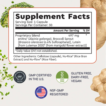 Berkeley Life Cognitive Support Supplement for Memory & Focus - Brain Health Supplements Supports Memory Loss, Mental Clarity, Inability to Multitask & Loss of Speed - for Adults - 30 Capsules Berkeley LifeBuy Supplements Australia
