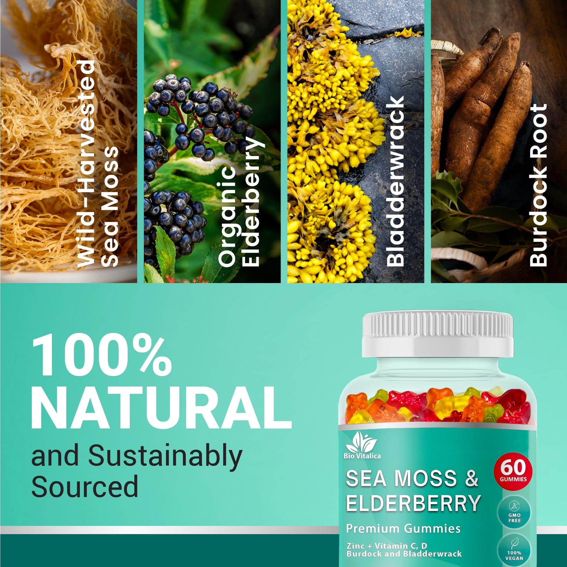 BIO VITALICA Irish Sea Moss Gummies with Elderberry – USA Made Vegan Gummies with Vitamin C, D & Zinc – Immune Support Supplement with Bladderwrack & Burdock Root for Adults & Kids – 3 Packs BIO VITALICABuy Supplements Australia