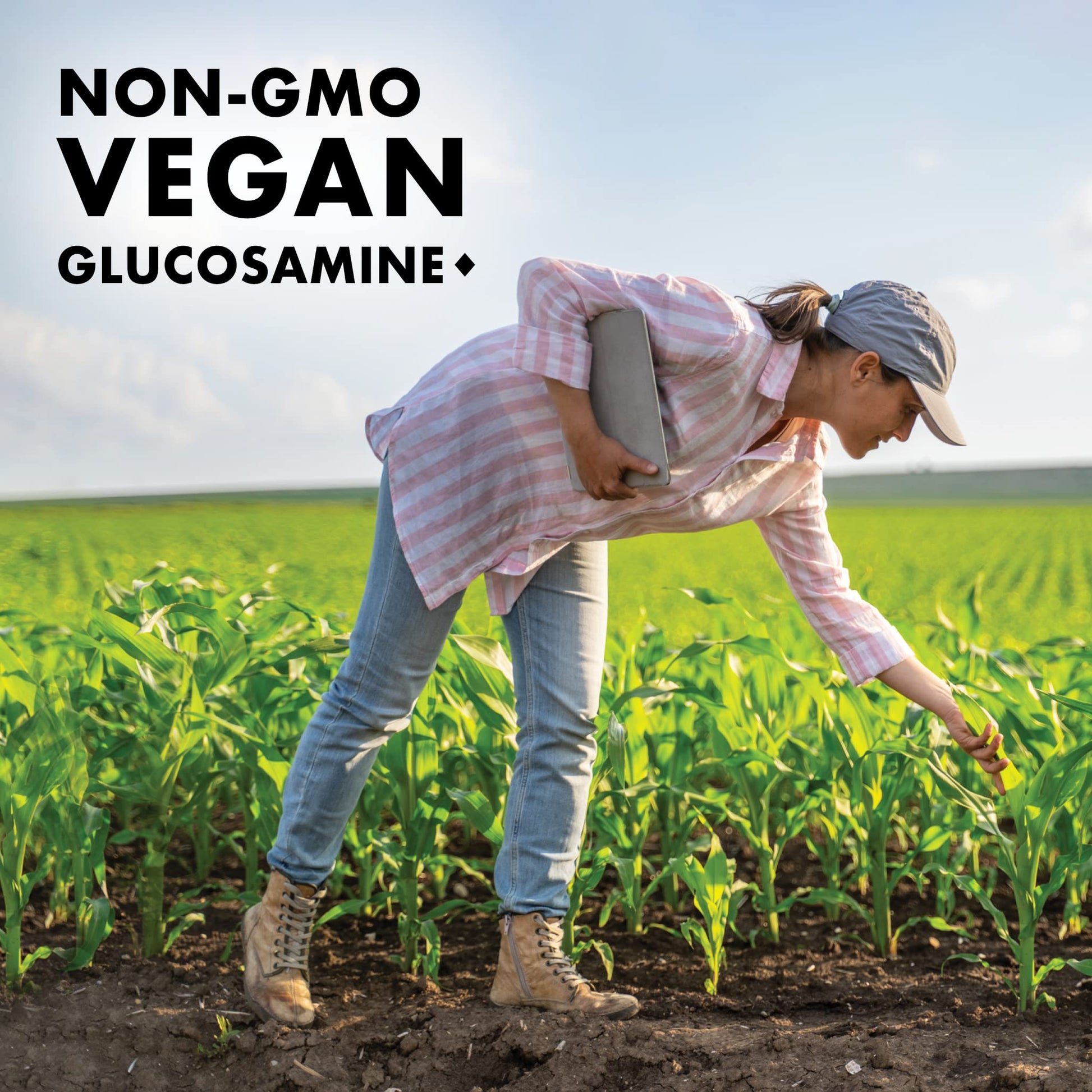 BlueBonnet Vegetarian Glucosamine Plus MSM Supplement, 120 Count ('743715011151) BlueBonnetBuy Supplements Australia