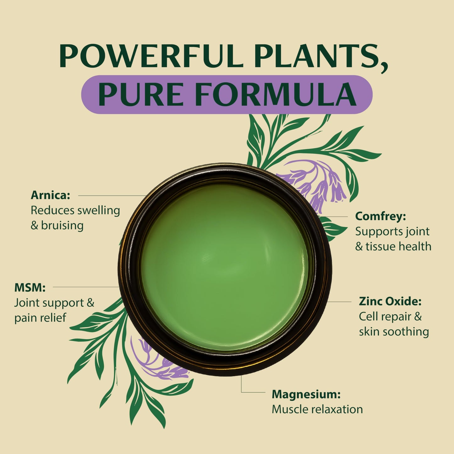 Wild Healing Comfrey Salve – Concentrated Herbal Balm with Arnica, Magnesium & MSM – Soothing Botanical Cream for Joints, Muscles & Dry Skin – 4.23 oz Wild HealingBuy Supplements Australia