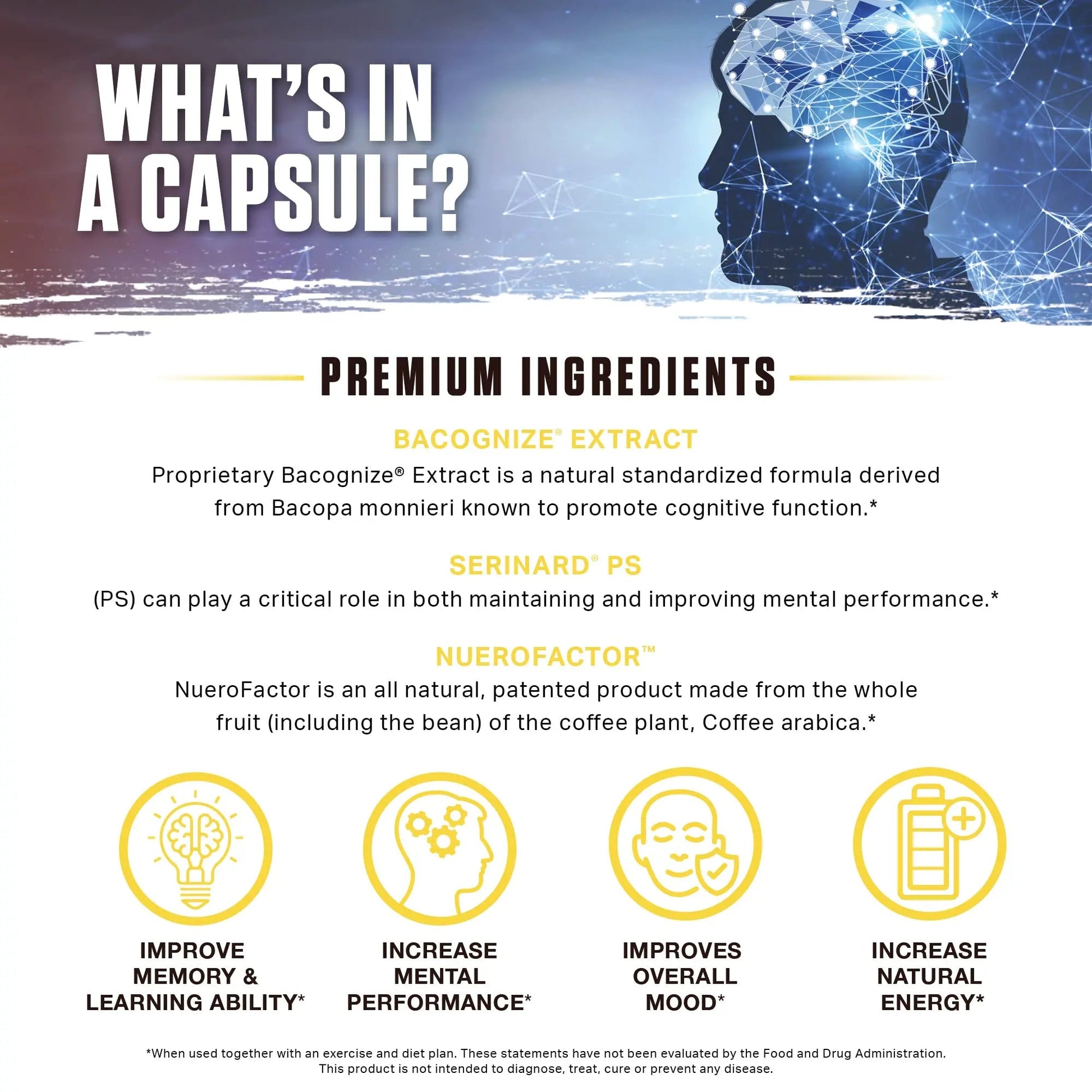 Ambrosia Mental Jewels (Capsules) - Cognitive Enhancer | Increase Memory, Communication Skills, Concentration & Focus | Alpha GPC, Choline, BaCognize AmbrosiaBuy Supplements Australia