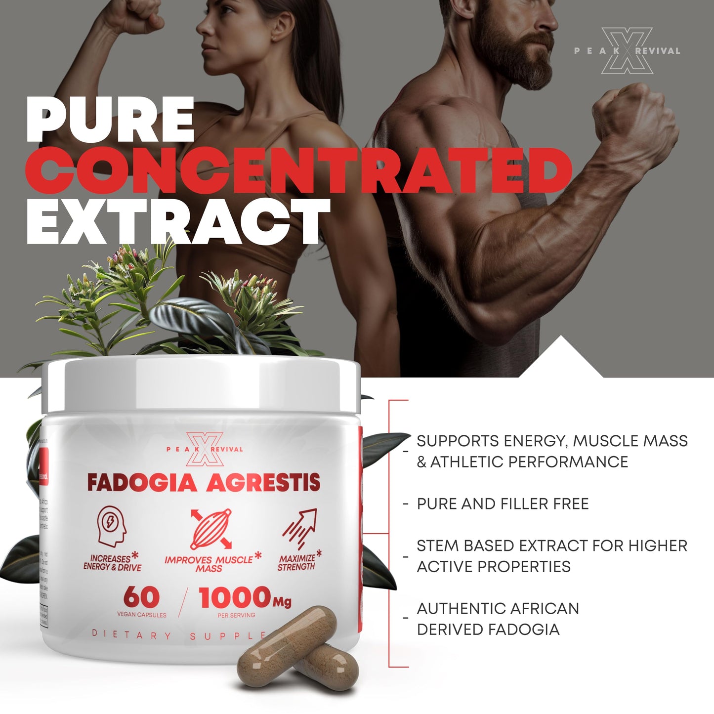 Peak Revival-X Fadogia Agrestis 1000mg Per Serving Supplement - Potent Extract to Increase Energy, Athletic Performance & Muscle Mass - Supplements, Made in The USA (60 Capsules) Peak Revival-XBuy Supplements Australia