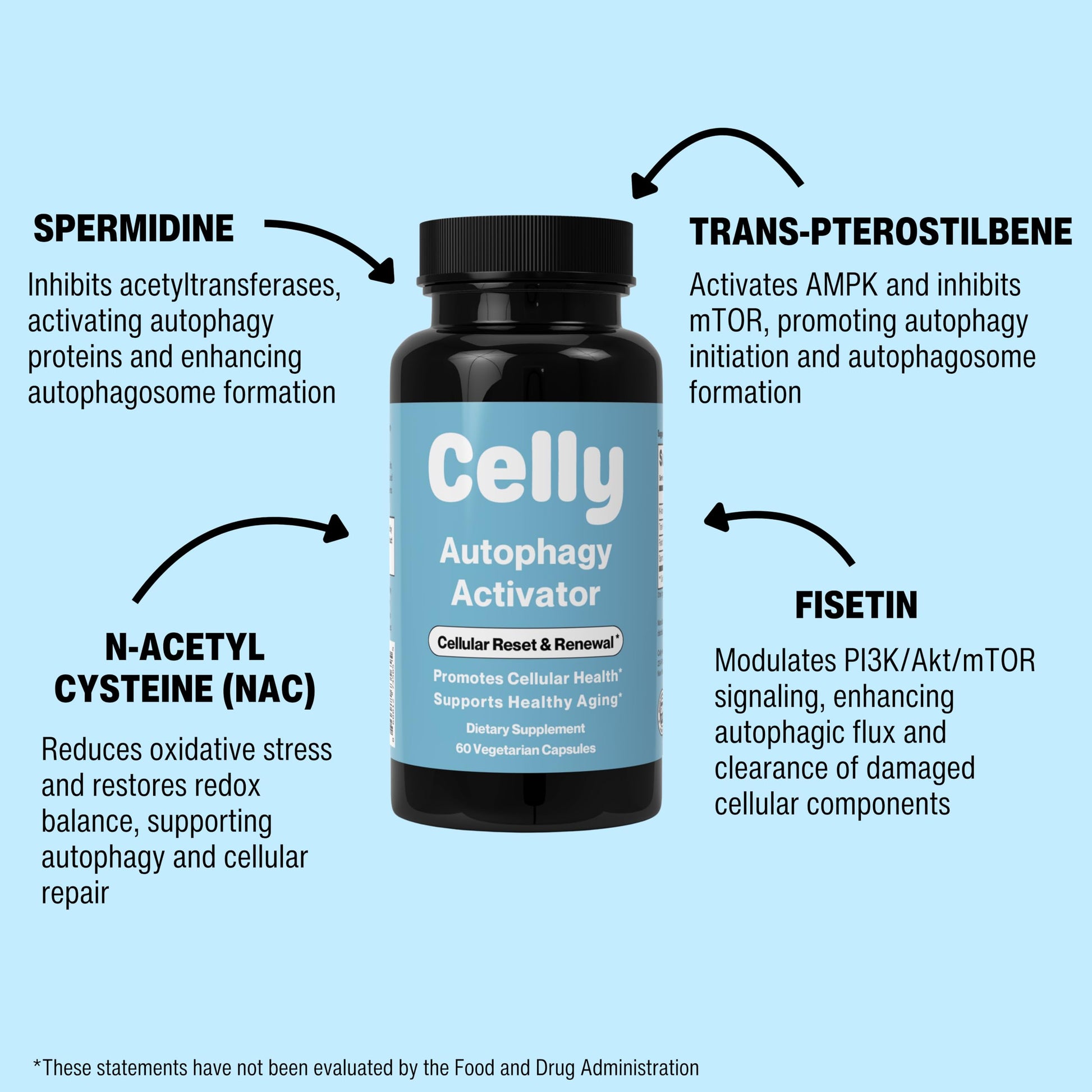Celly Autophagy Activator | Longevity Supplement for Cellular Nutrition and Healthy Aging | Promotes Cell Renewal with Spermidine, Pterostilbene, Fisetin, and NAC | Made in USA & 3rd Party Tested CellyBuy Supplements Australia