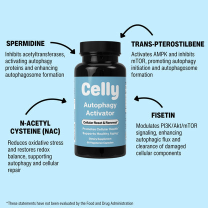 Celly Autophagy Activator | Longevity Supplement for Cellular Nutrition and Healthy Aging | Promotes Cell Renewal with Spermidine, Pterostilbene, Fisetin, and NAC | Made in USA & 3rd Party Tested CellyBuy Supplements Australia