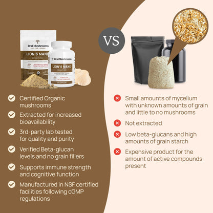 Real Mushrooms Lion’s Mane Capsules - Organic Lions Mane Mushroom Extract Real MushroomsBuy Supplements Australia