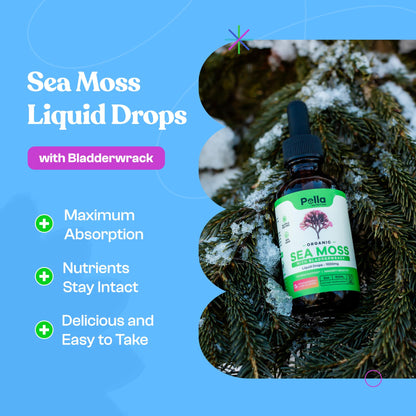 Pella Nutrition Organic Sea Moss Liquid Extract - 1000mg Irish Sea Moss, 4X Stronger Than Pella NutritionBuy Supplements Australia
