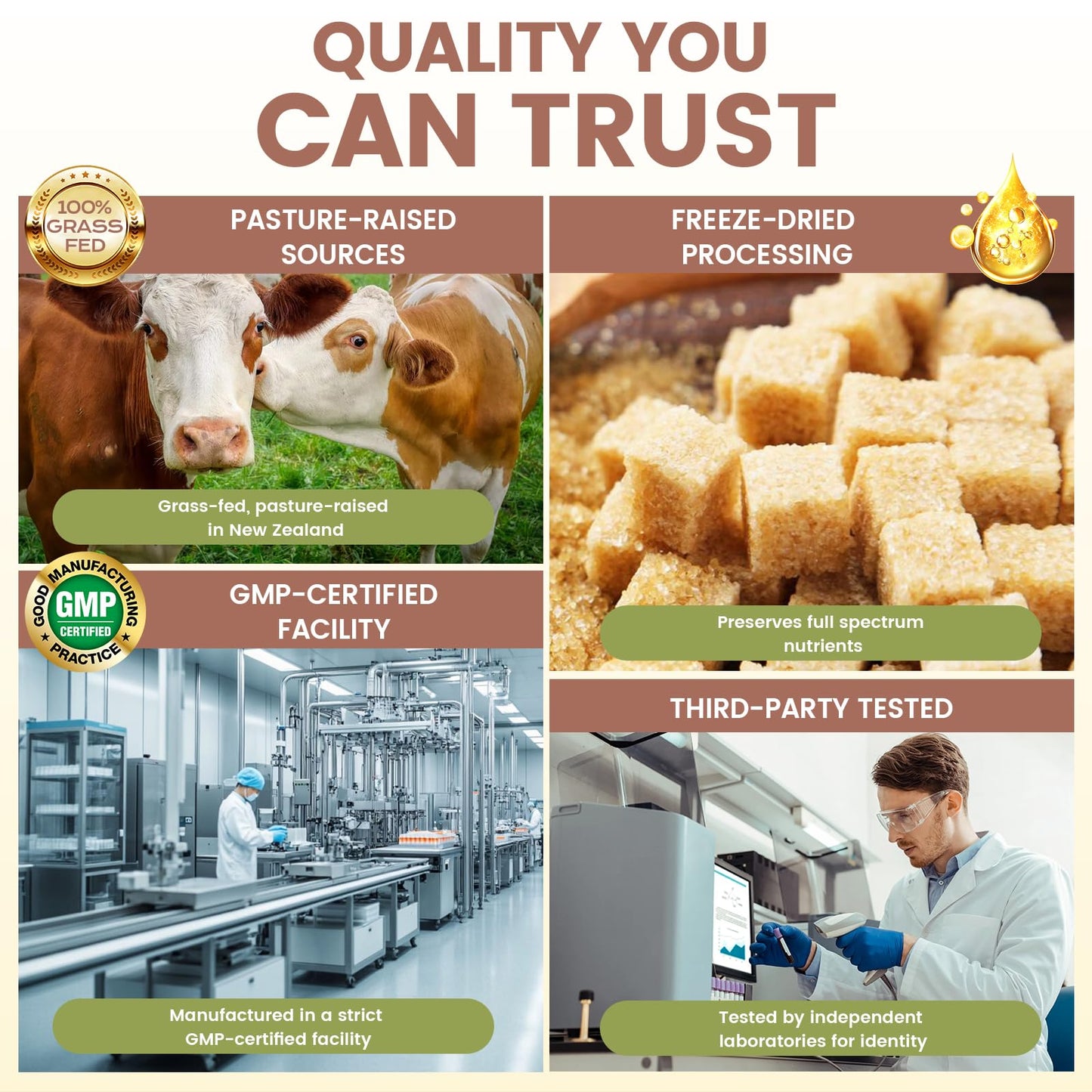 Grass Fed Beef Organ Supplement for Men - Beef Liver Capsules,Pasture Raised Beef Organs with Heart, Liver, Kidney, Spleen, Testicle & Prostate, Zinc, Selenium, Vitamin D3, Ginseng, Cordyceps HOLINFREBuy Supplements Australia