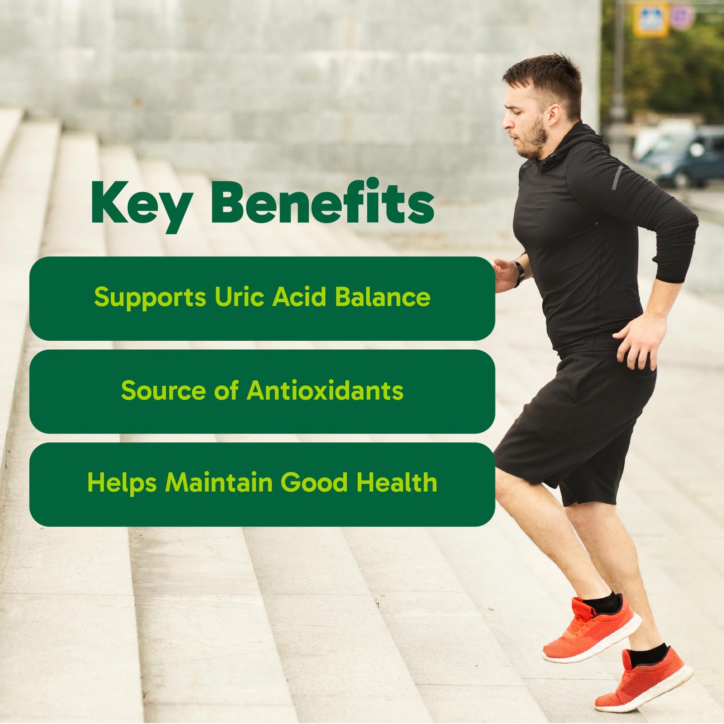 Organika Goutrin Uric Acid Flush for Gout (120 Caps): Gentle Gout Support with Cherry, Thyme, Celery Seed, Peppermint, & VIT C: Clean & Vegan Gout Supplements for Men & Women - Metabolism & Mobility OrganikaBuy Supplements Australia