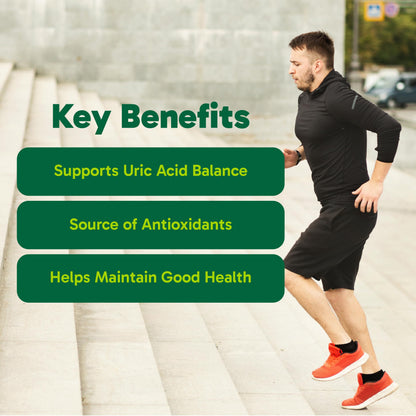 Organika Goutrin Uric Acid Flush for Gout (120 Caps): Gentle Gout Support with Cherry, Thyme, Celery Seed, Peppermint, & VIT C: Clean & Vegan Gout Supplements for Men & Women - Metabolism & Mobility OrganikaBuy Supplements Australia