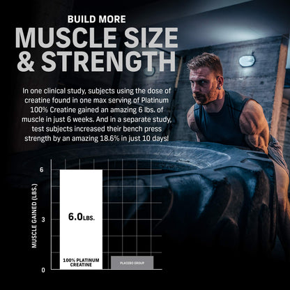 Muscletech Whey Protein Powder Phase8 Protein Powder & nohydrate Powder Platinum MuscletechBuy Supplements Australia