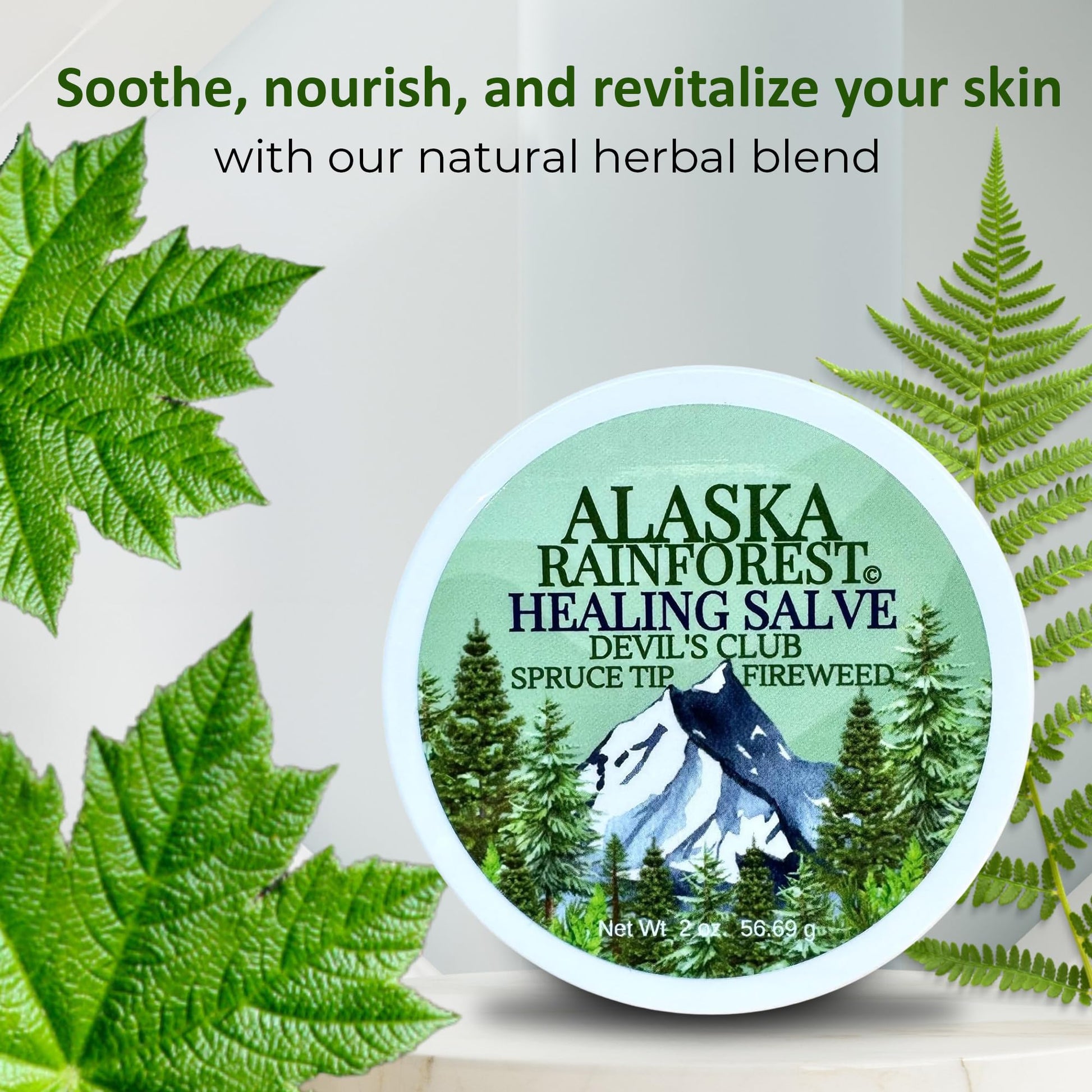 Snowy Summit Alaska Rainforest Salve - Herbal Salve for Dry Skin & Joint Relief - Natural Super Salve for Soothing Skin with Gentle Aroma - Body & Hand Salve - Muscle Rub with Alaskan Devil’s Club Oil Snowy SummitBuy Supplements Australia