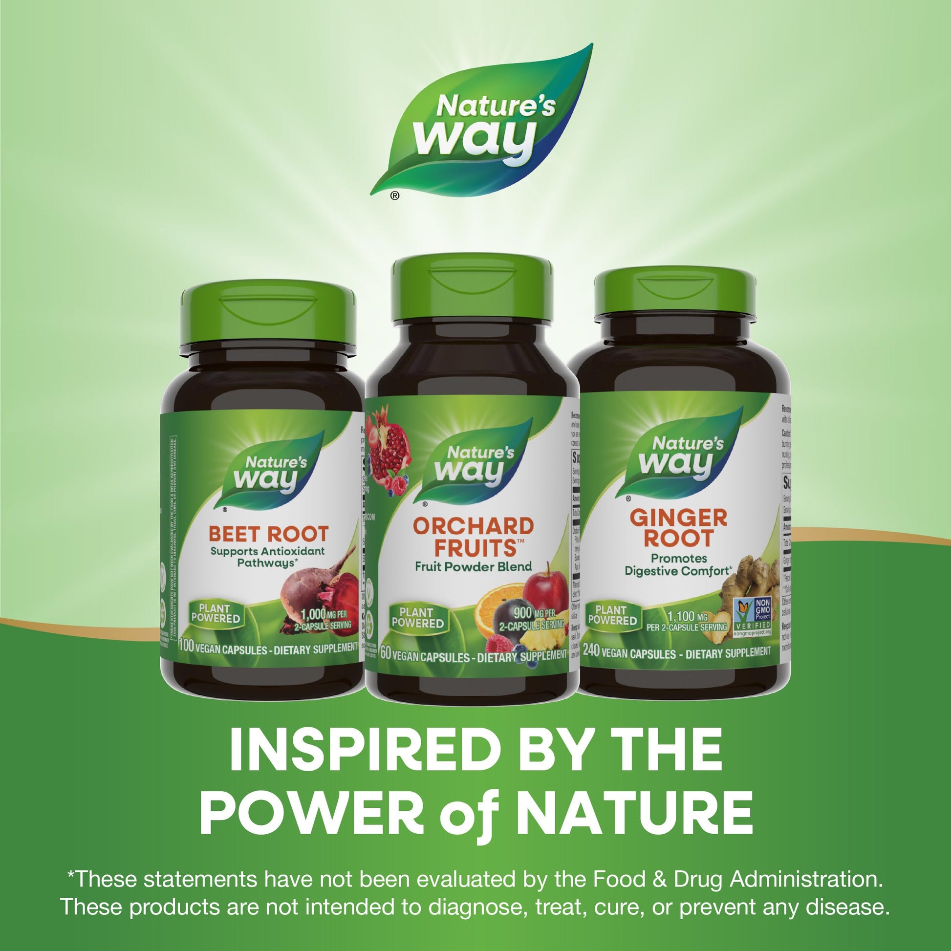 Nature's Way Orchard Fruits, Fruit Powder Blend, Contains 12 Different Fruits, 900mg Per 2-Capsule Serving, 60 Capsules Nature's WayBuy Supplements Australia