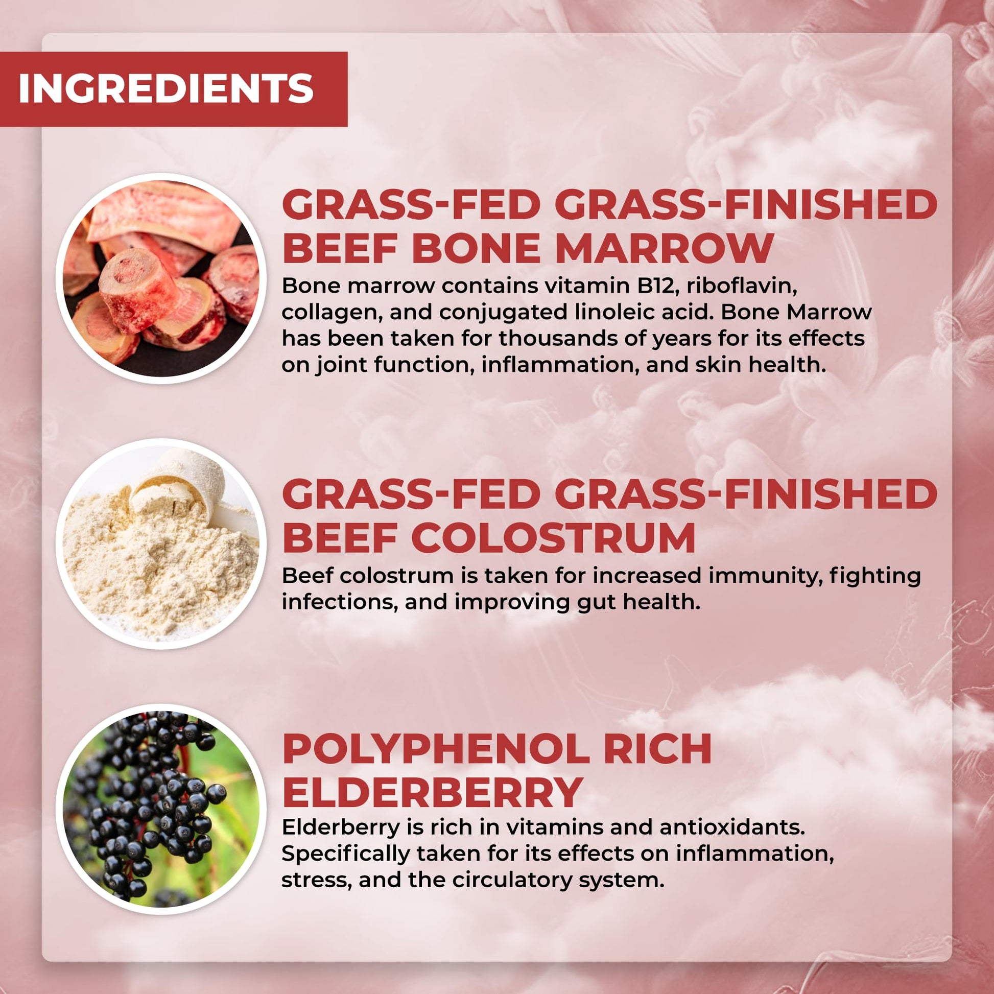 Santa Cruz Paleo, Food of the Gods Grass Fed Beef Organ Supplement for Men and Women, with Collagen, Maca Root, Colostrum, Bone Broth, Iron, Vitamin B12, Gluten Free, Keto Friendly, 30 Servings Santa Cruz PaleoBuy Supplements Australia