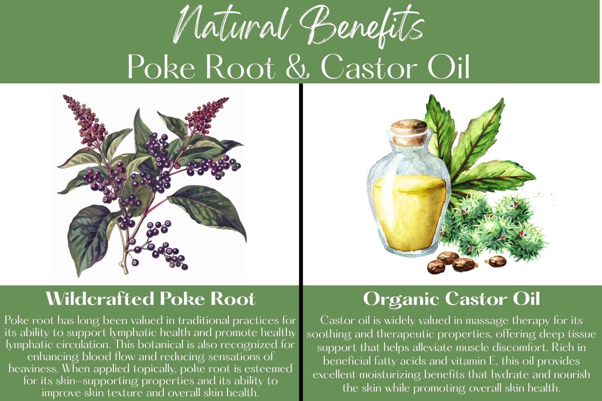 Organic Poke Root Castor Oil Salve | Vegan Lymphatic Support | Enriched with Essential Oils | Cysts, Boils, Fibroids, Swollen Lymph Nodes, Breast & Joint (1oz, Lilac) Living FarmsBuy Supplements Australia