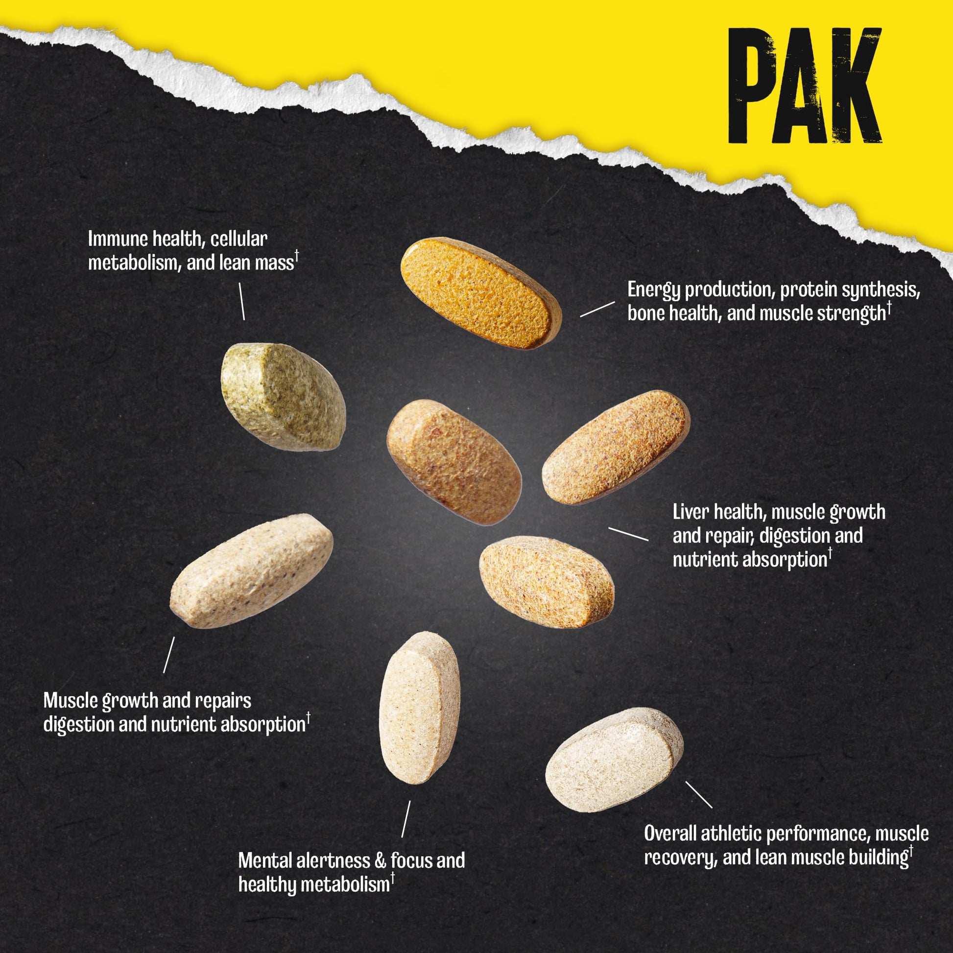Animal Pak - Convenient Multivitamin for Men & Women Daily All-in-One Vitamin & Supplement Pack - Zinc, Vitamins C, B, D, Amino Acids, and Immune Support - Sports Nutrition Performance - 44 Count AnimalBuy Supplements Australia
