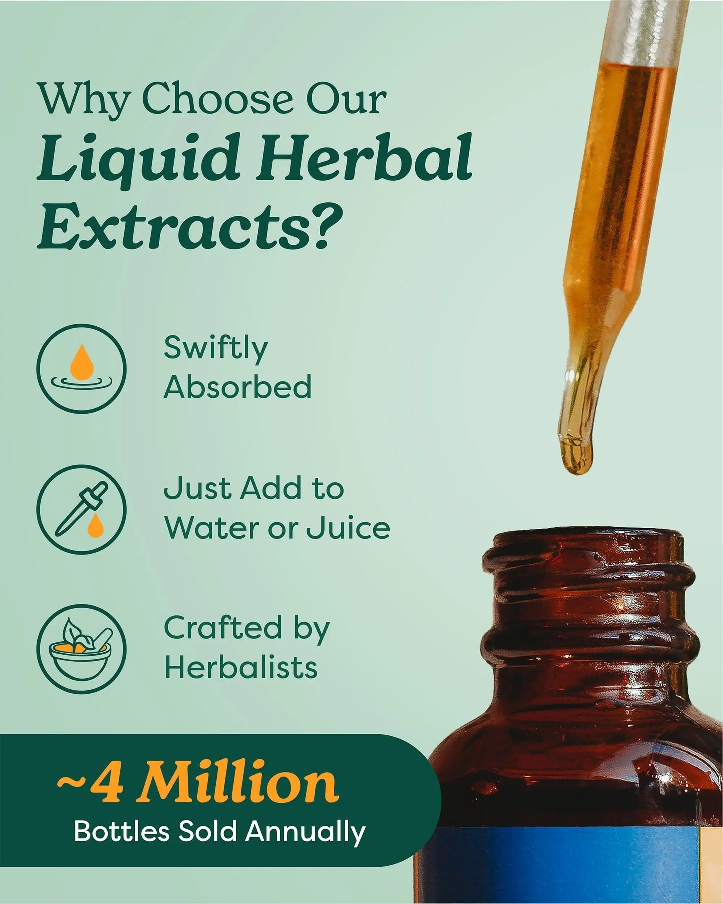 Herb Pharm Chanca Piedra Liquid Extract for Urinary System Support, 1 Fl Oz Herb PharmBuy Supplements Australia