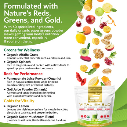 Granite Nutrition Vital Shield - USDA Organic Superfood Greens with Mushrooms & Tart Cherry – Supports Energy, Immune Function & Digestive Health – Lemon Lime Flavor (30 Servings) Granite SupplementsBuy Supplements Australia