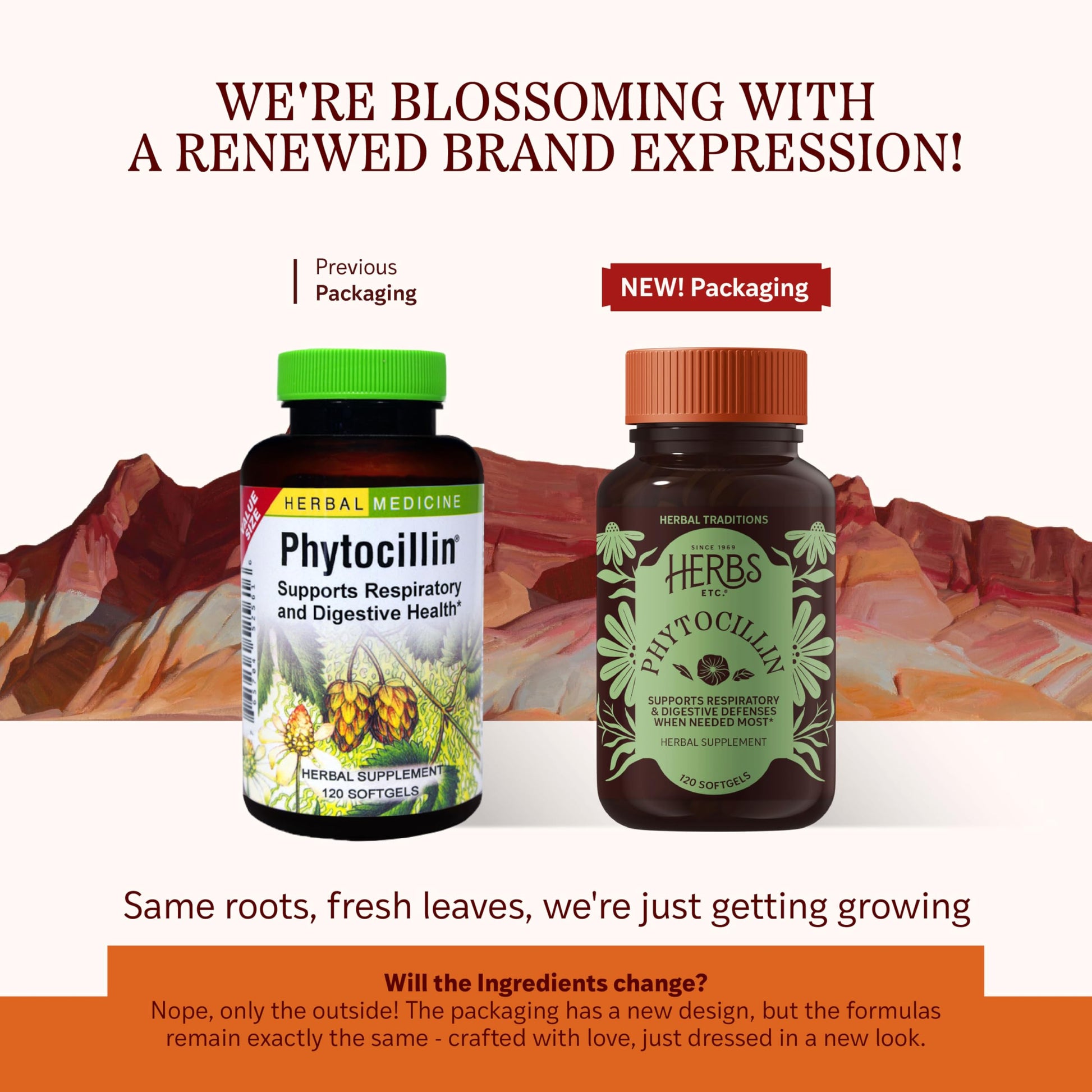 Herbs Etc. Phytocillin - Respiratory & Digestive Health Support Supplement - Herbal Formula to Support Digestion - Support Healthy Breathing - 120 Softgels (120 Servings) Herbs Etc.Buy Supplements Australia