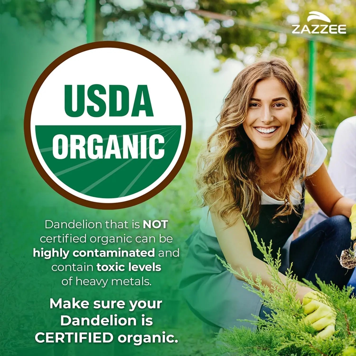 Zazzee Urinary Tract Cleanse & Detox Bundle | USDA Organic Dandelion Root Extract Capsules Plus D-Mannose 1000mg Capsules for UT & Bladder Cleansing ZazzeeBuy Supplements Australia