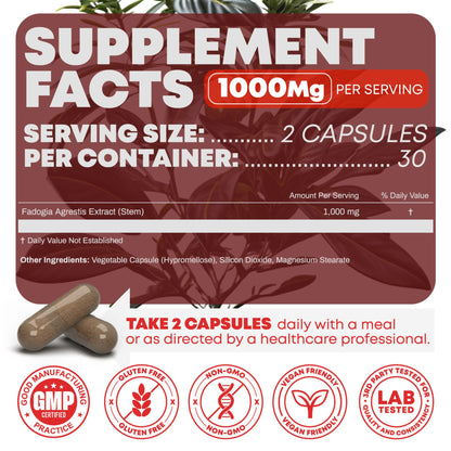 Peak Revival-X Fadogia Agrestis 1000mg Per Serving Supplement - Potent Extract to Increase Energy, Athletic Performance & Muscle Mass - Supplements, Made in The USA (60 Capsules) Peak Revival-XBuy Supplements Australia