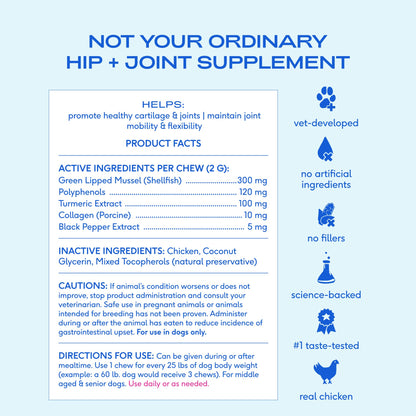 Native Pet Inflammatory Care - Pain Relief for Dogs - Green-Lipped Mussel, Turmeric & Collagen for Dogs - Hip and Joint Supplement Supports Healthy Inflammatory Response & Joint Comfort - 60 Chews Native PetBuy Supplements Australia