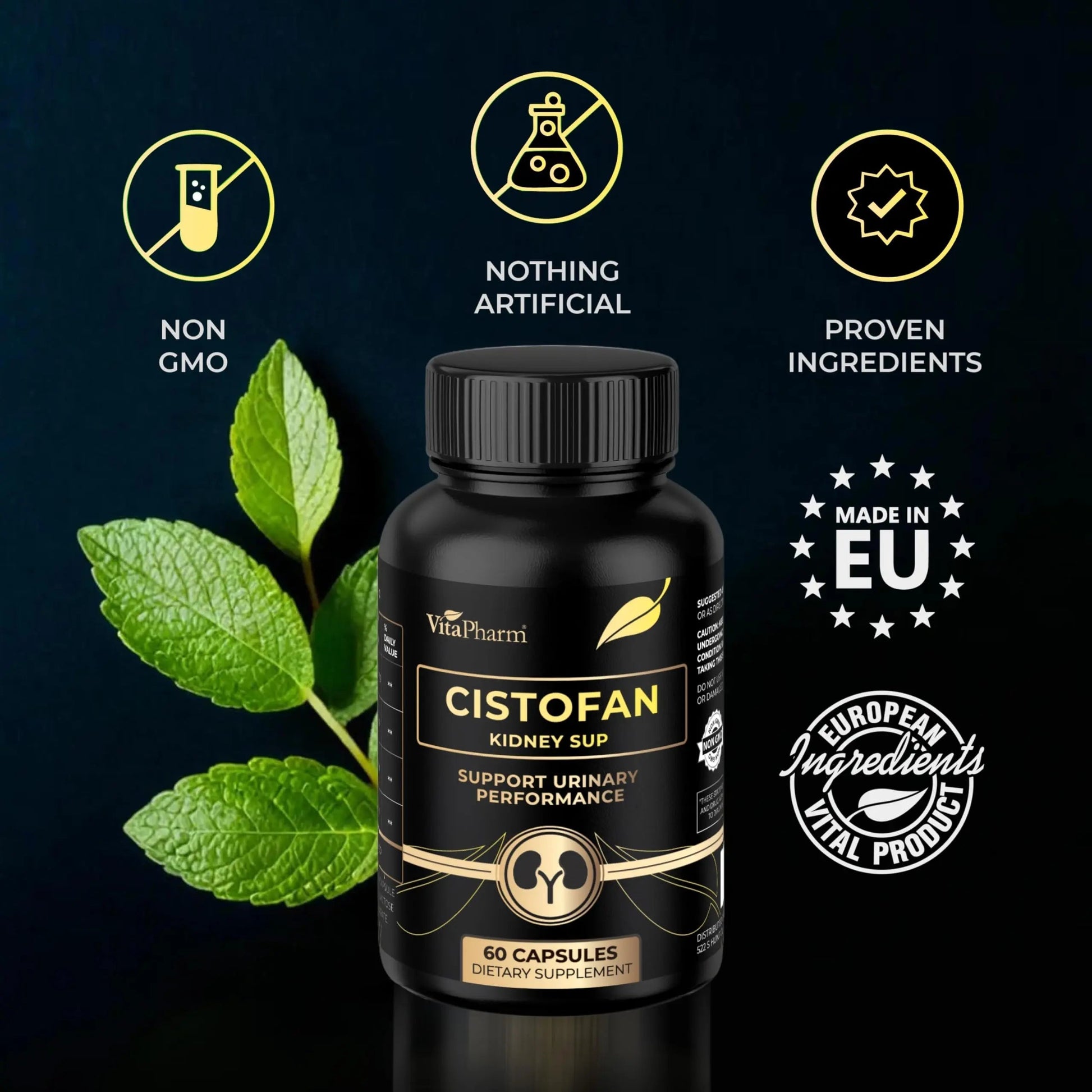 CISTOFAN Kidney Support Supplement – Herbal Formula with Java Tea, Birch Leaf, Parsley & Cranberry – Supports Urinary Tract & Kidney Function – Natural Diuresis – 60 Capsules – Non-GMO – Made in EU VitaPharmBuy Supplements Australia