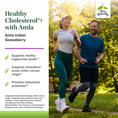 Terry Naturally Healthy Cholesterol with Amla - Antioxidant Supplement for Immune & Heart Support - Supplement to Aid Healthy Cholesterol & Triglyceride - 60 Capsules Terry NaturallyBuy Supplements Australia
