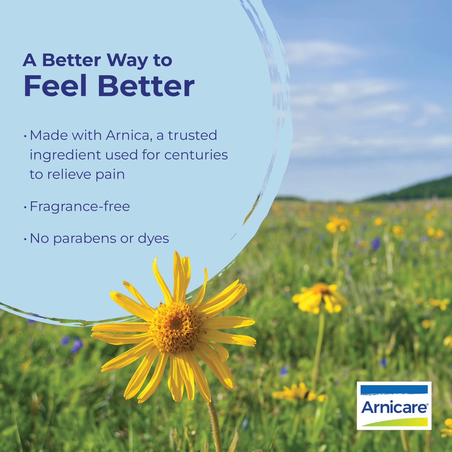 Boiron Arnicare Ointment for Relief of Joint Pain, Muscle Pain, Muscle Soreness, and Swelling from Bruises or Injury - Non-greasy and Fragrance-Free - 1 oz BoironBuy Supplements Australia