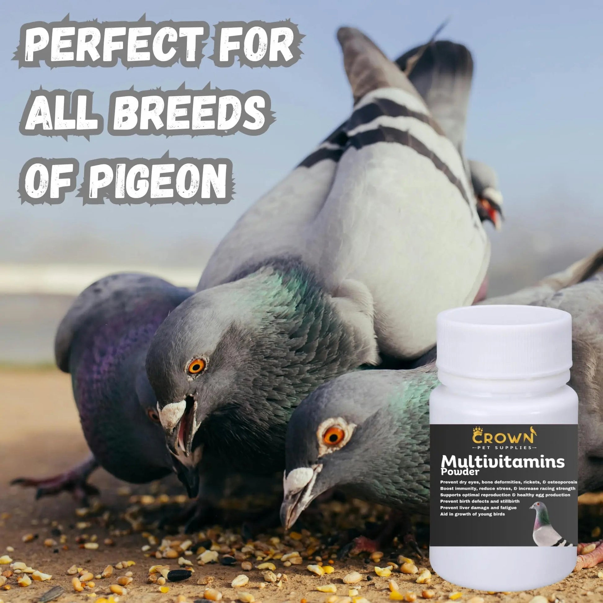 Multivitamin Powder for Pigeons – Ultimate Vitamin Formula for Racing & Breeding – Supports Growth, Bone Strength, Reproductive Health & Feather Health Crown Pet Supplies