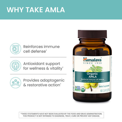 Himalaya Organic Amla - Herbal Immune Support Supplement with Adaptogen and Antioxidant - USDA Organic, Vegan