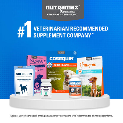 Nutramax Laboratories Cosequin Maximum Strength Joint Health Supplement for Dogs - With Glucosamine, Chondroitin, and MSM, 2 Pack, 264 Total Chewable Tablets Nutramax LaboratoriesBuy Supplements Australia
