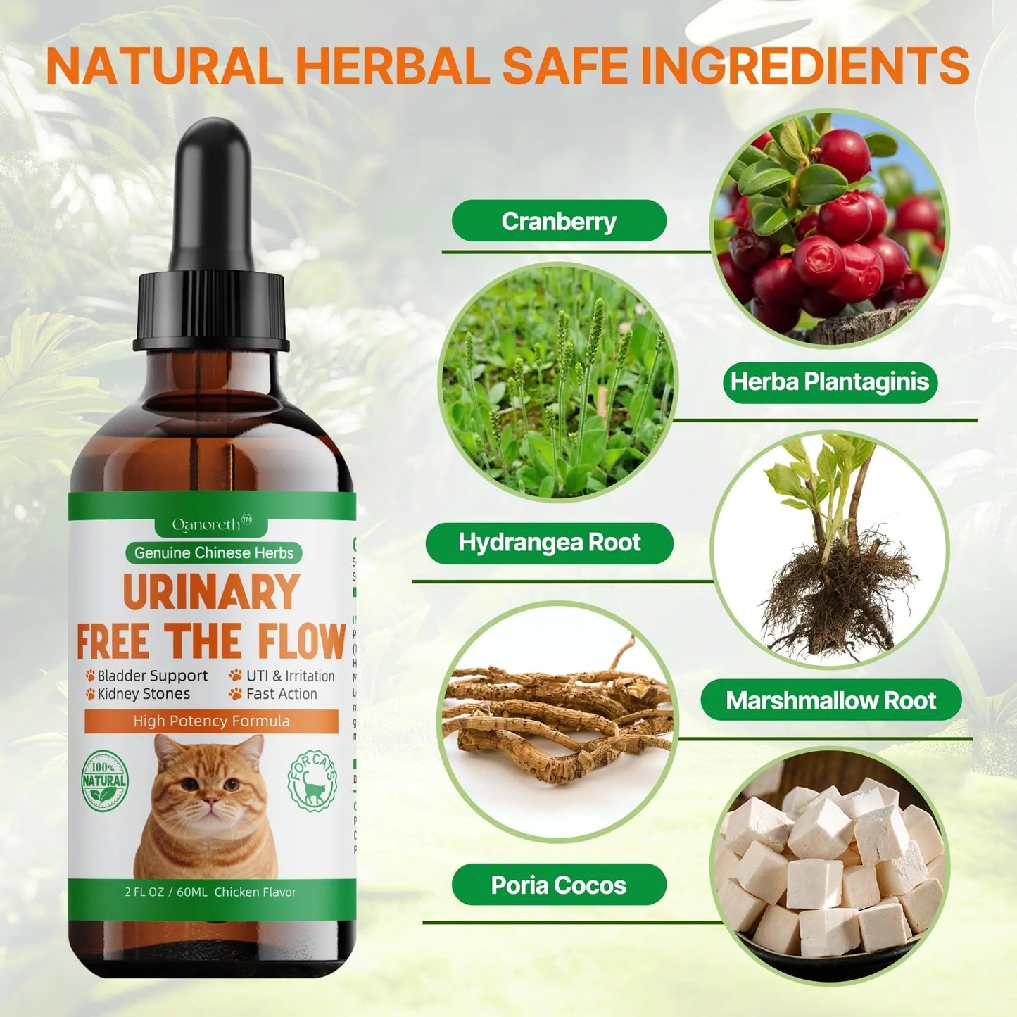 Cat Bladder Remedy for Stones & Crystals, Kidney StonesDissolver forCat- Urinary Free The Flow - Cat Urinary Tract Infection Treatment for Stones, Herbal CatUTI Remedy for Stone Relief & Prevention QanorethBuy Supplements Australia