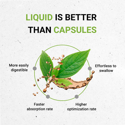 Secrets of the Tribe Mistletoe Tincture Alcohol-Free Liquid Extract, Mistletoe Secrets of the TribeBuy Supplements Australia