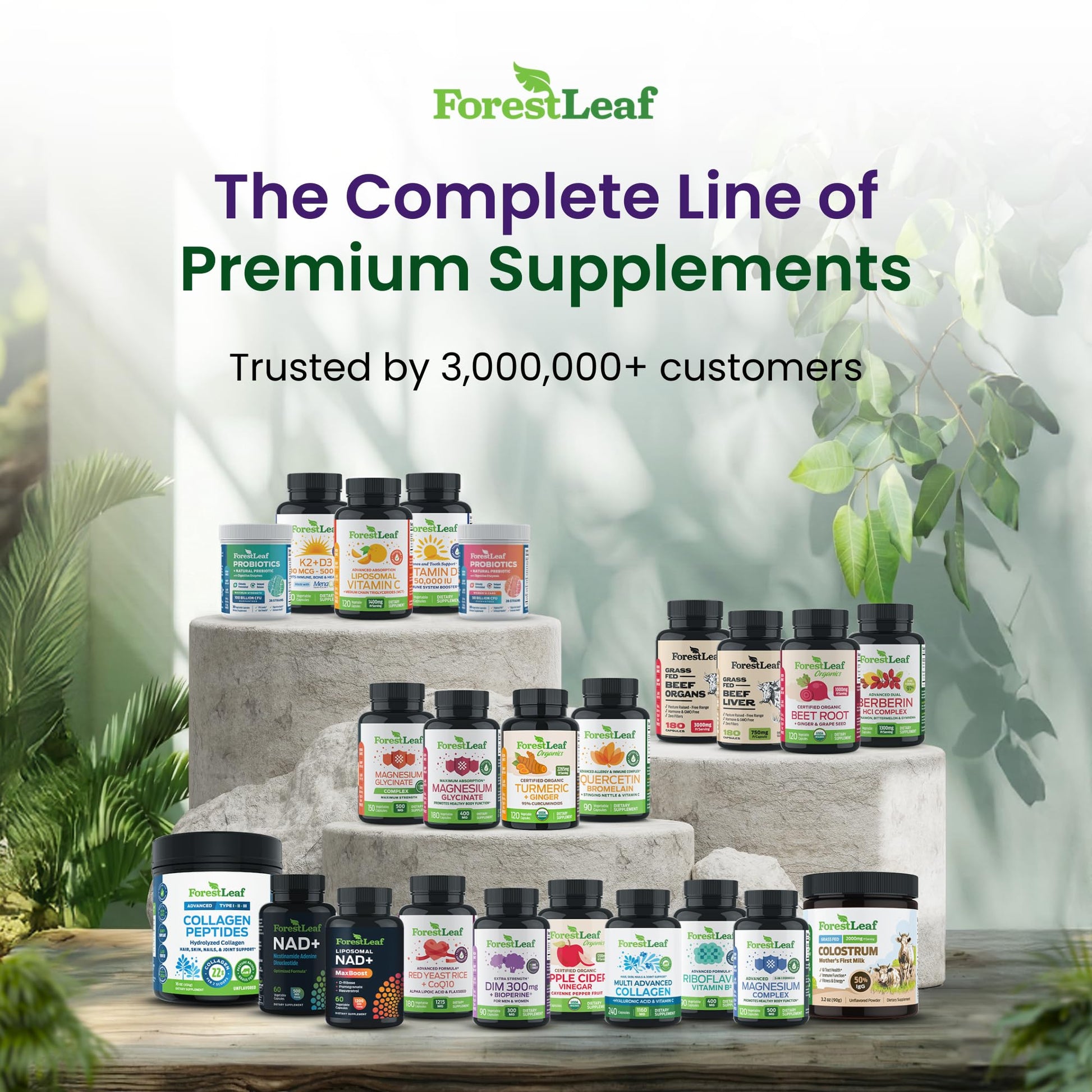 ForestLeaf Glucosamine Chondroitin MSM Joint Supplement Complex - 1200mg - 120 Caps ForestLeafBuy Supplements Australia